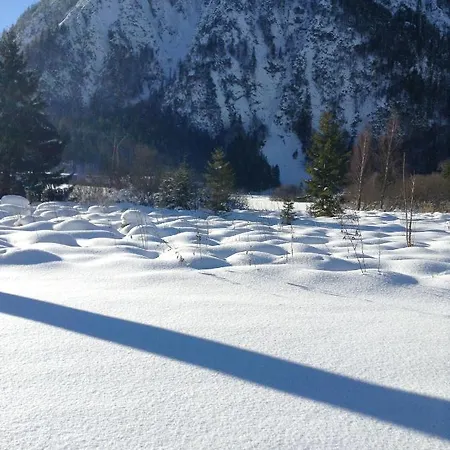 Wachhof *