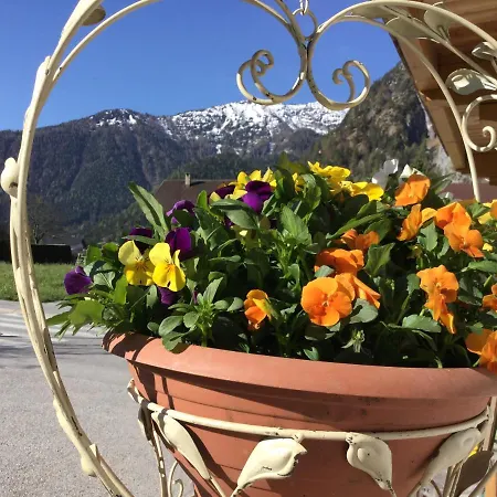 Alloggio per agriturismo Wachhof